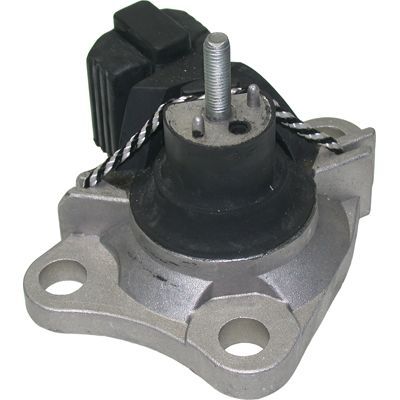 Variklio montavimas BIRTH 51269