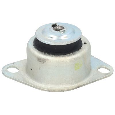 Variklio montavimas BIRTH 51280