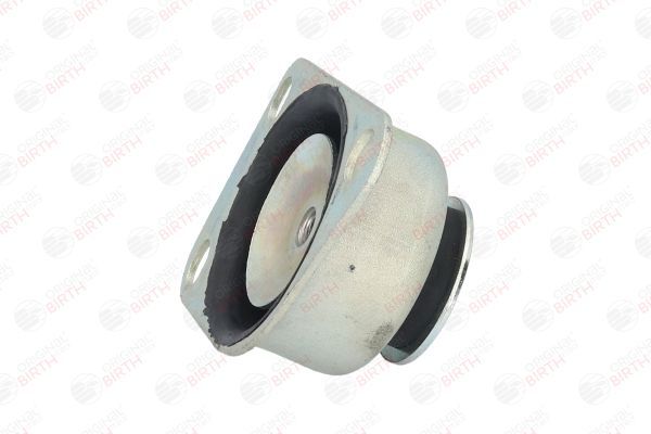 Variklio montavimas BIRTH 51280