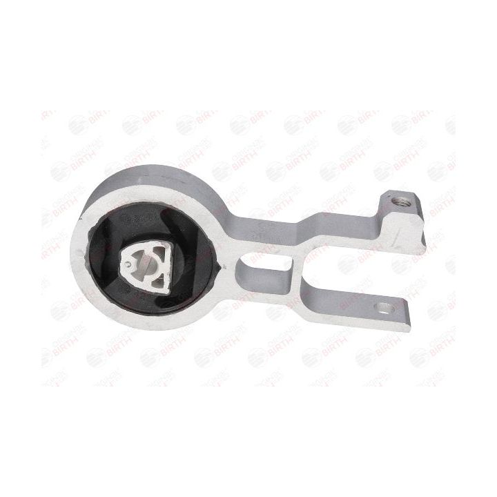 Variklio montavimas BIRTH 51281