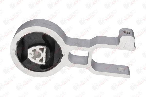 Variklio montavimas BIRTH 51281