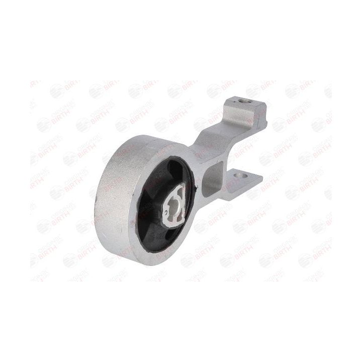 Variklio montavimas BIRTH 51281