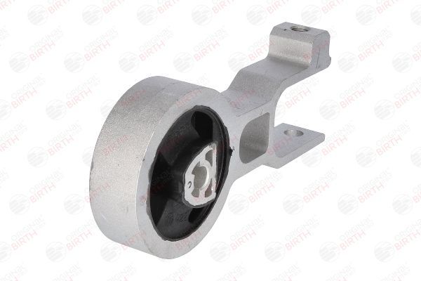 Variklio montavimas BIRTH 51281