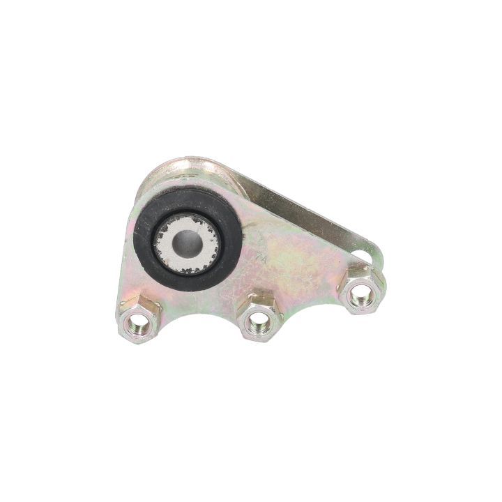 Variklio montavimas BIRTH 51300