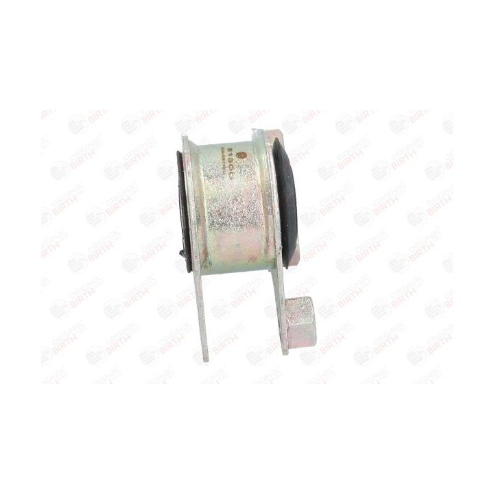 Variklio montavimas BIRTH 51300