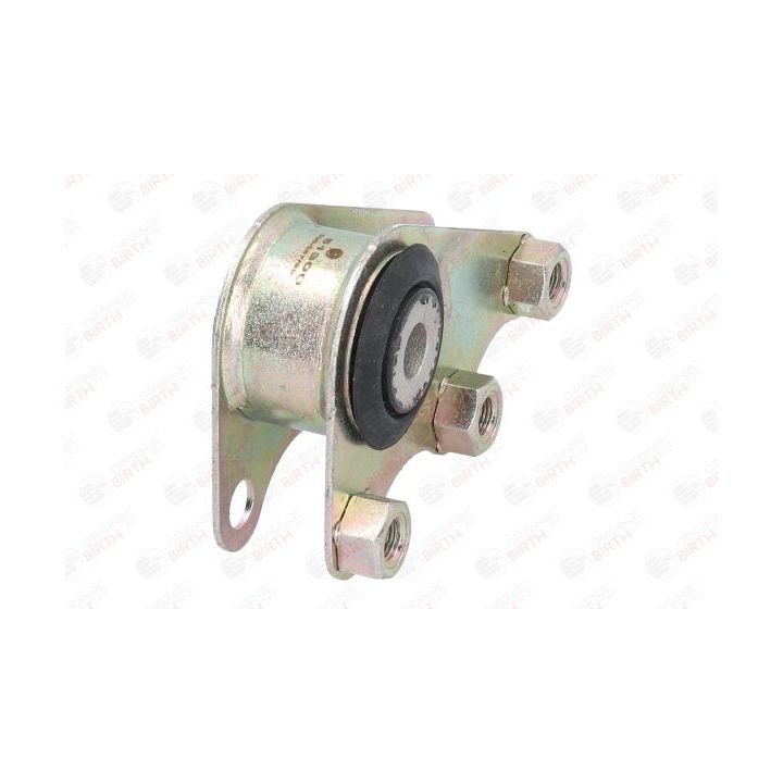 Variklio montavimas BIRTH 51300