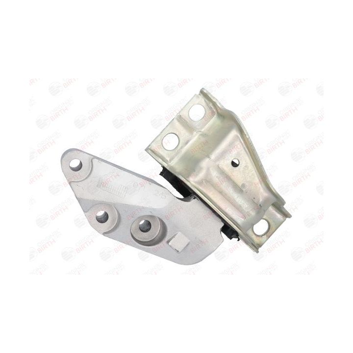 Variklio montavimas BIRTH 51302