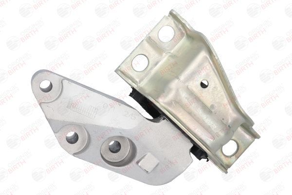 Variklio montavimas BIRTH 51302