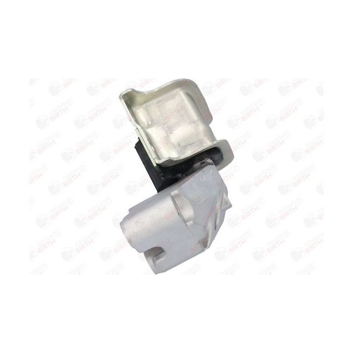 Variklio montavimas BIRTH 51302