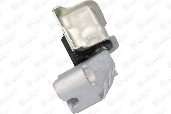 Variklio montavimas BIRTH 51302