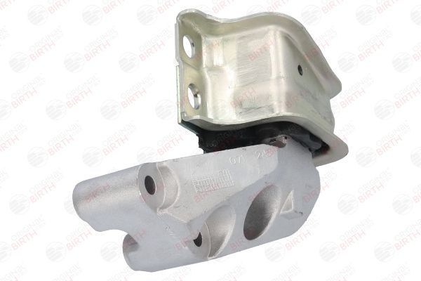 Variklio montavimas BIRTH 51302