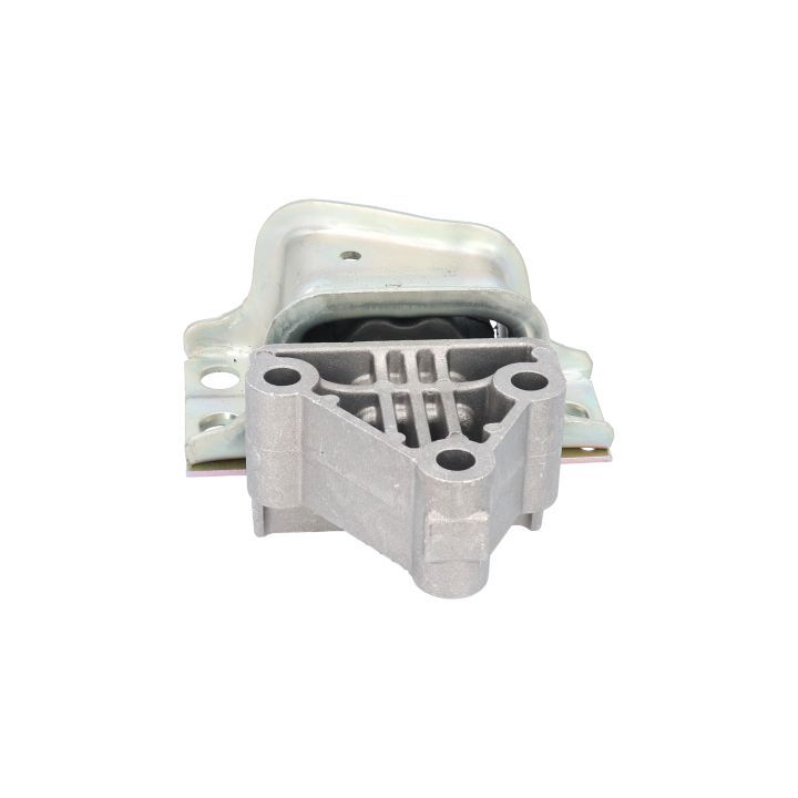 Variklio montavimas BIRTH 51307