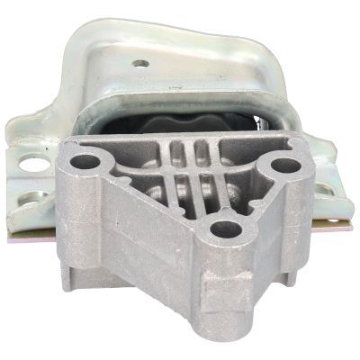 Variklio montavimas BIRTH 51307