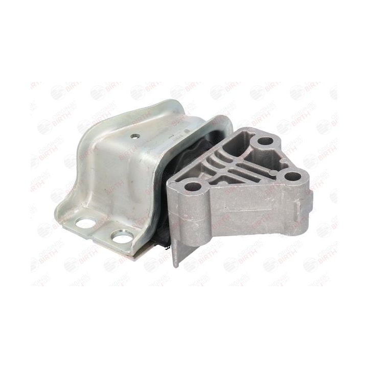 Variklio montavimas BIRTH 51307