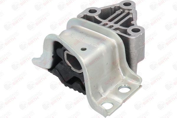 Variklio montavimas BIRTH 51307