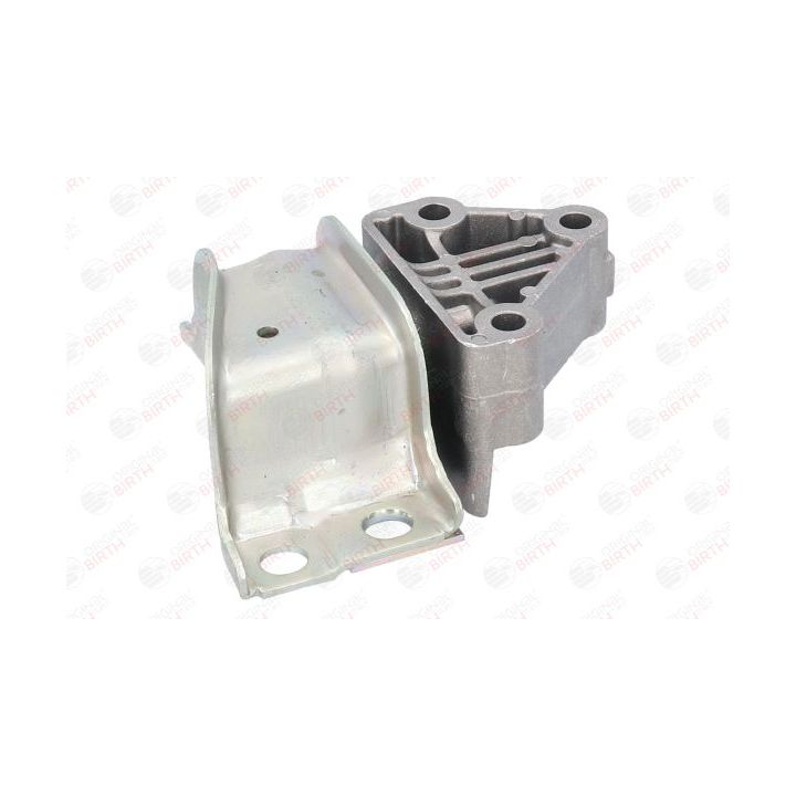 Variklio montavimas BIRTH 51307