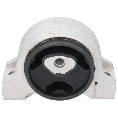 Variklio montavimas BIRTH 51324