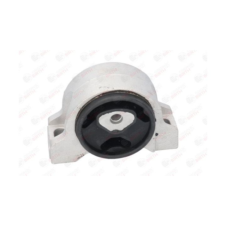 Variklio montavimas BIRTH 51324