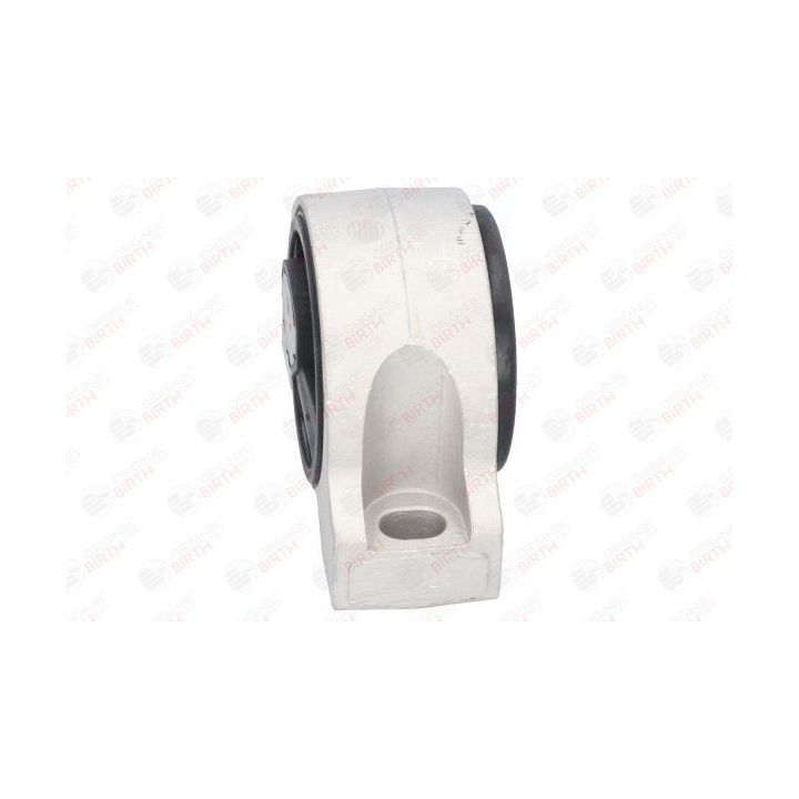 Variklio montavimas BIRTH 51324