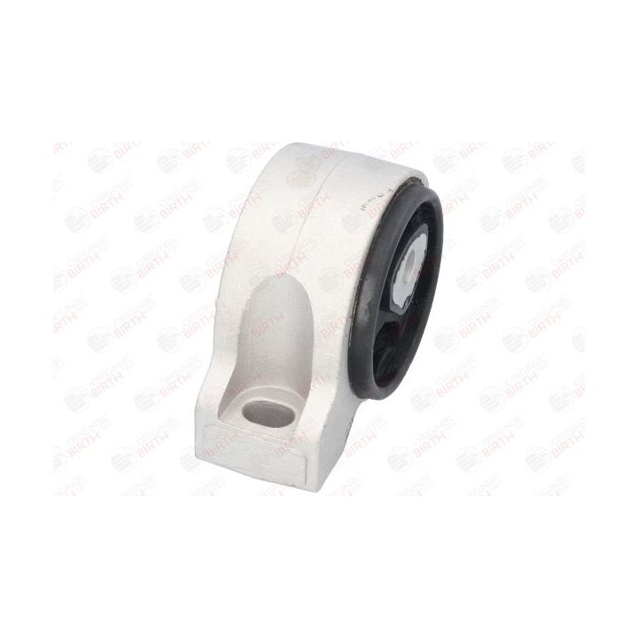 Variklio montavimas BIRTH 51324