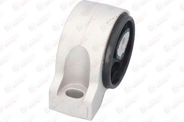 Variklio montavimas BIRTH 51324