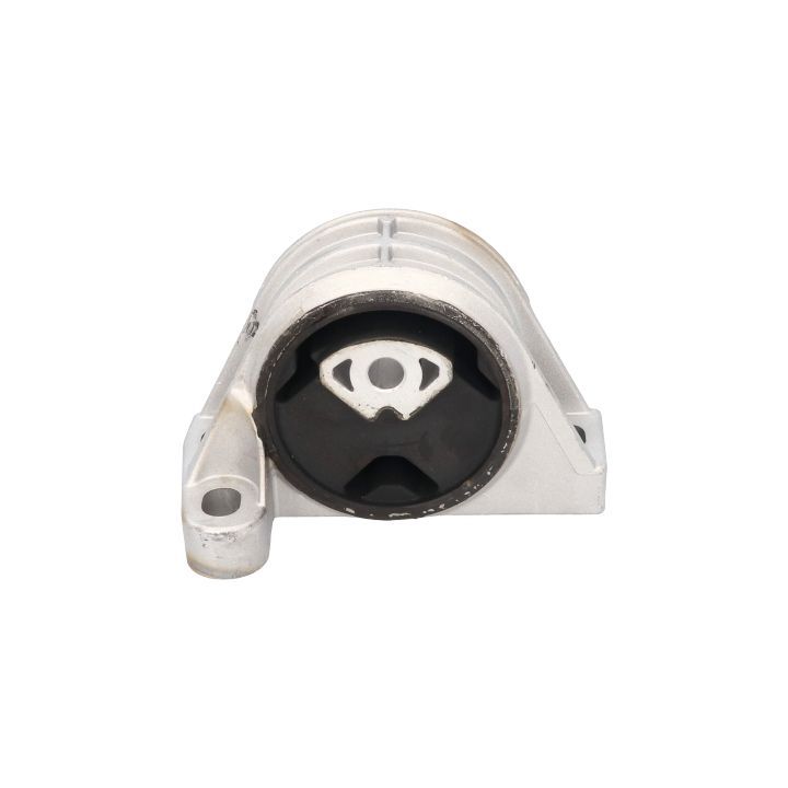 Variklio montavimas BIRTH 51325