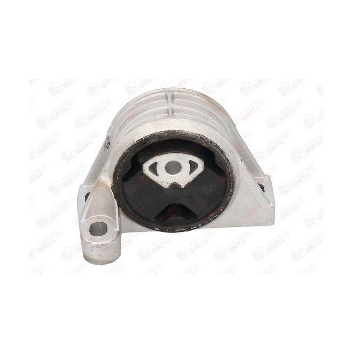 Variklio montavimas BIRTH 51325