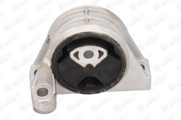 Variklio montavimas BIRTH 51325