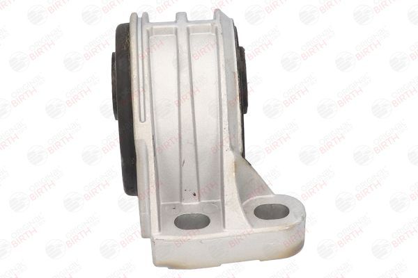 Variklio montavimas BIRTH 51325