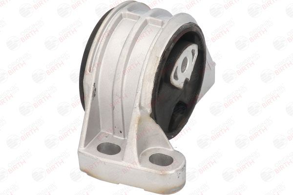 Variklio montavimas BIRTH 51325