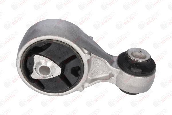 Variklio montavimas BIRTH 51371