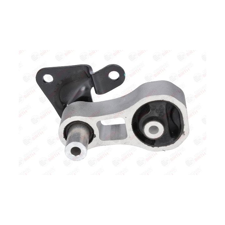 Variklio montavimas BIRTH 51374