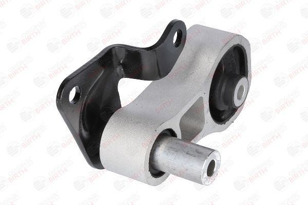 Variklio montavimas BIRTH 51374