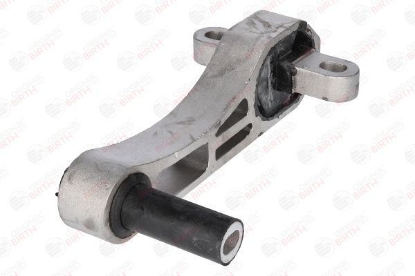 Variklio montavimas BIRTH 51389