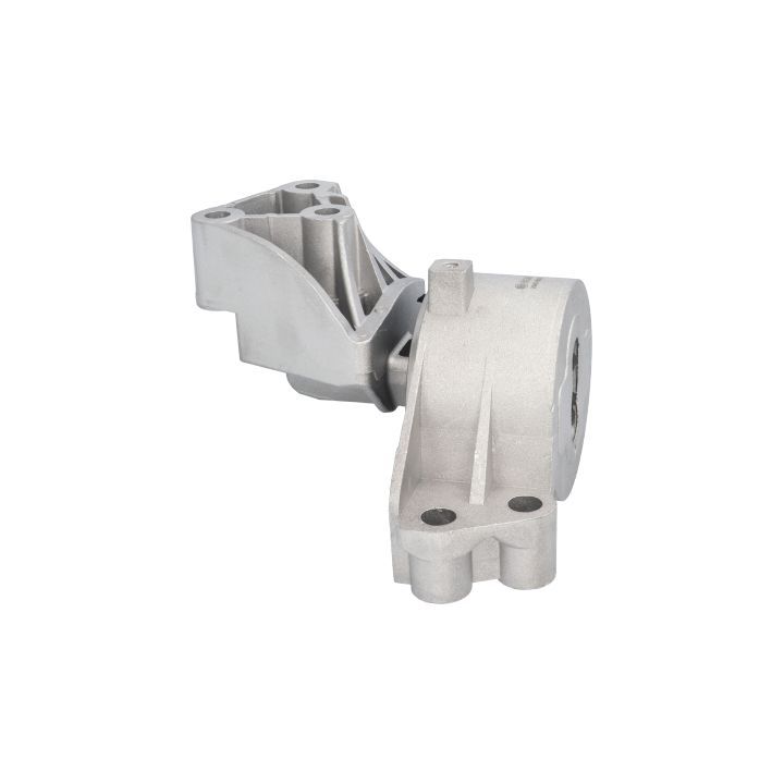 Variklio montavimas BIRTH 51390