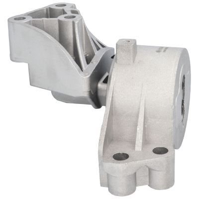 Variklio montavimas BIRTH 51390