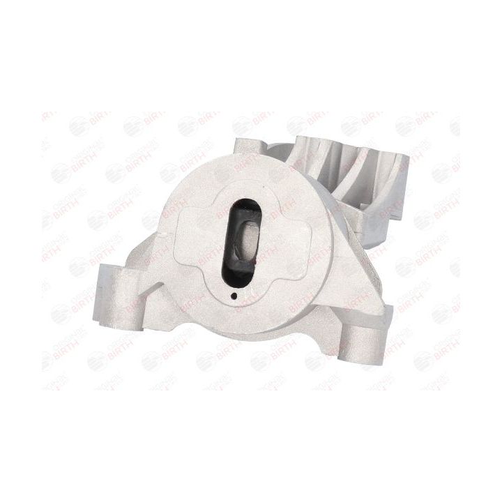 Variklio montavimas BIRTH 51390