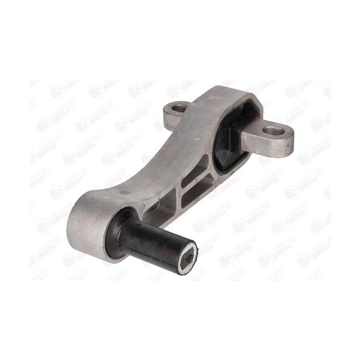 Variklio montavimas BIRTH 51403