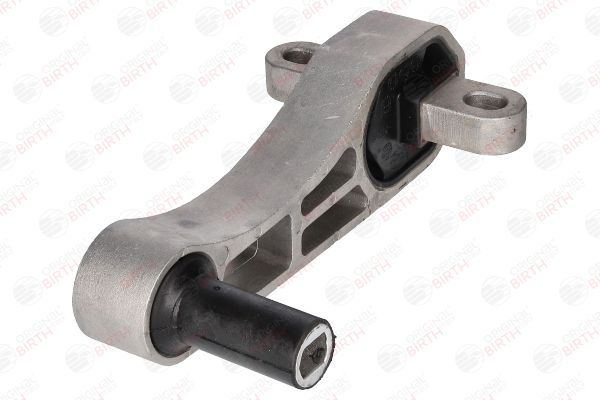 Variklio montavimas BIRTH 51403