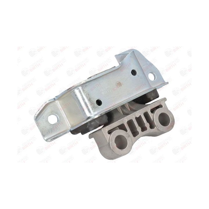 Variklio montavimas BIRTH 51404