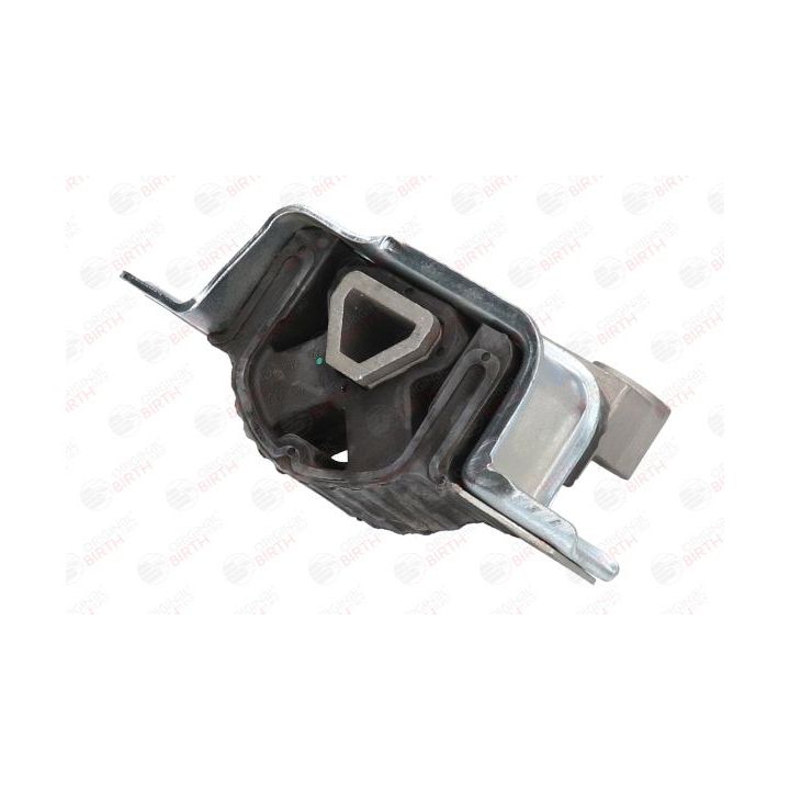 Variklio montavimas BIRTH 51404