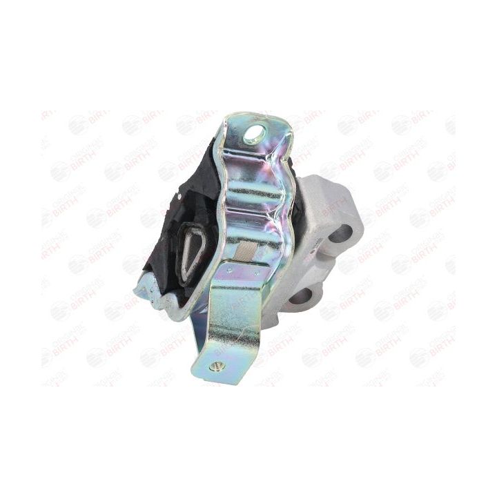 Variklio montavimas BIRTH 51405