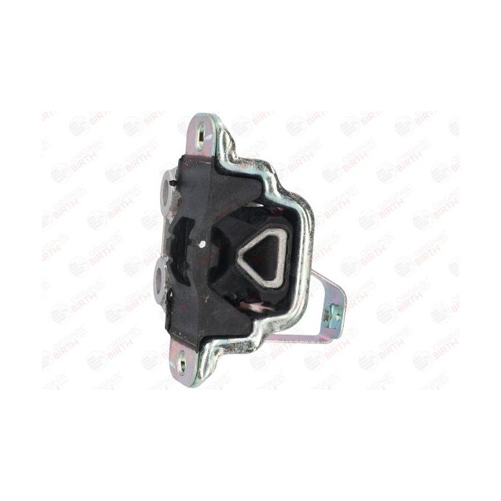 Variklio montavimas BIRTH 51405