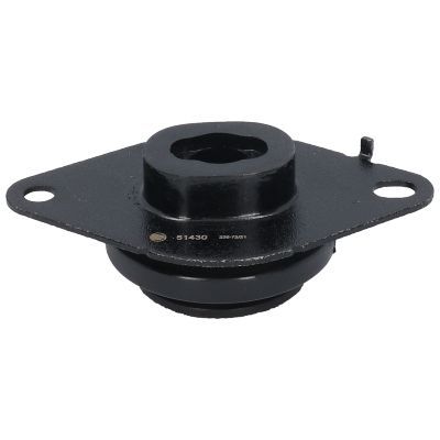 Variklio montavimas BIRTH 51430