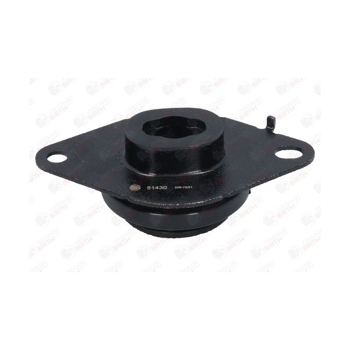 Variklio montavimas BIRTH 51430