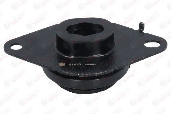 Variklio montavimas BIRTH 51430