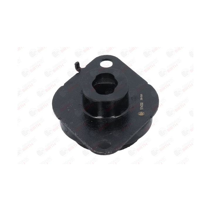 Variklio montavimas BIRTH 51430