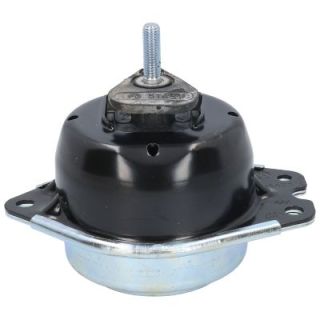 Variklio montavimas BIRTH 51431