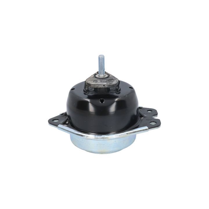 Variklio montavimas BIRTH 51431