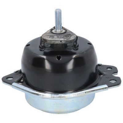 Variklio montavimas BIRTH 51431